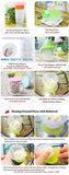 BeBeLock Airtight Container